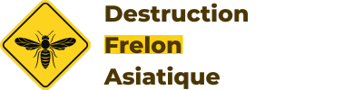 Destruction Frelon Asiatique